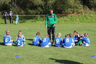 排球赛场焦点！韩国队对阵俄罗斯队，战术博弈精彩纷呈，教练斗智斗勇